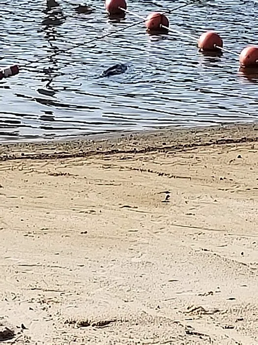 Riverton Lake Campgrounds Picture 2