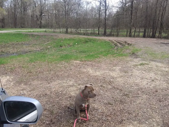 Russel Sage South Campground Picture 3