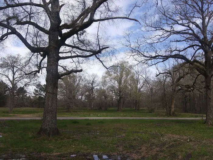 Russel Sage South Campground Picture 2