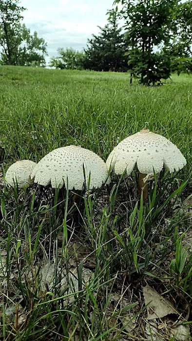 West Campground Picture 7