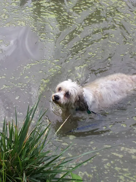 Lincoln Park Campground Picture 3