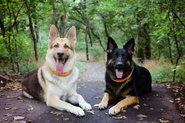 Lincoln Park Campground Picture 6