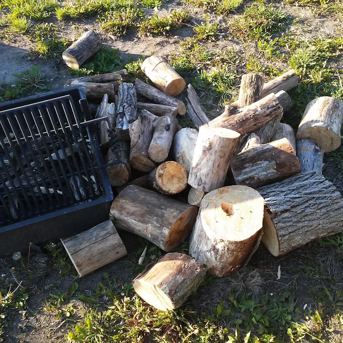 Area Five Campground Picture 1