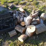 Area Five Campground