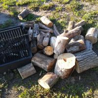 Area Five Campground ico