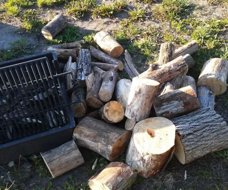 Area Five Campground