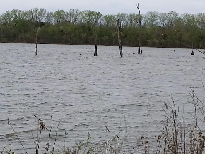 Area Five Campground Picture 5