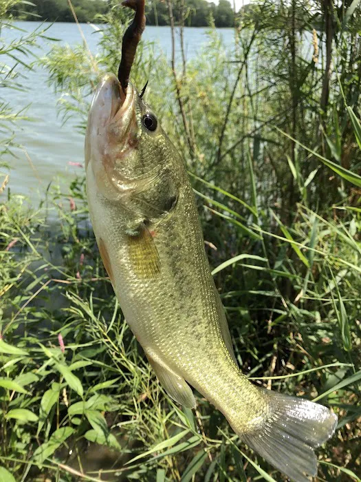 Olive Creek Dam-Site 2 Park Picture 1