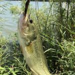 Olive Creek Dam-Site 2 Park