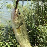 Olive Creek Dam-Site 2 Park ico