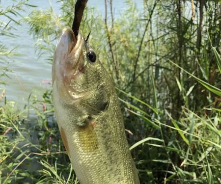 Olive Creek Dam-Site 2 Park