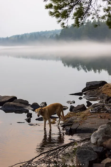 BWCA Campsite #726 Picture 4