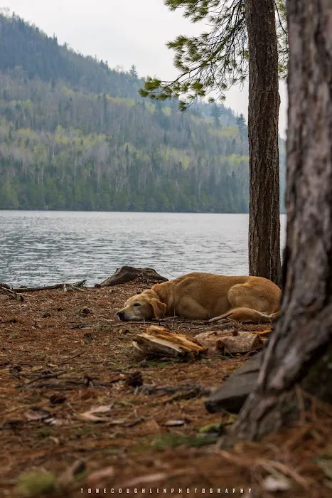 BWCA Campsite #726 Picture 2