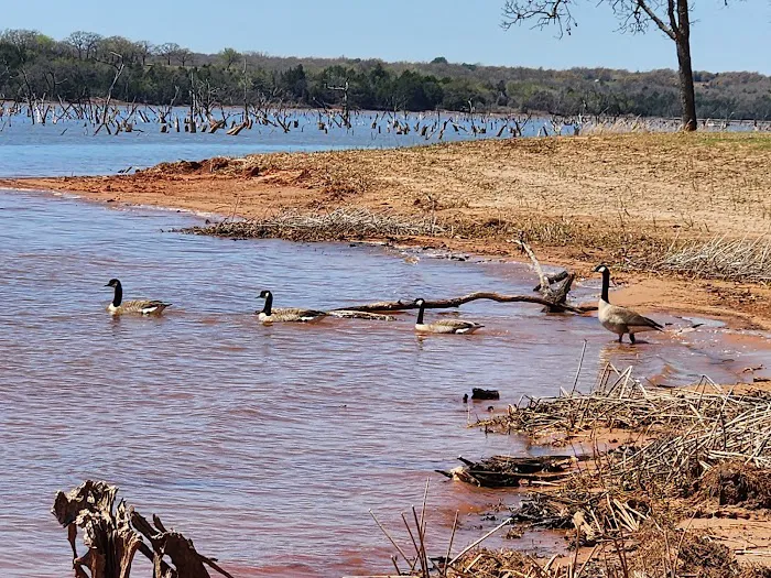 Bell Cow Lake Campground Area B Picture 9