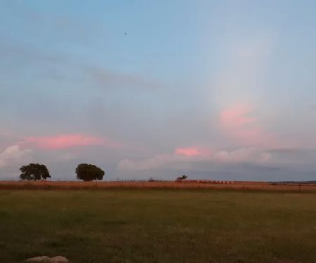 Lake Durant Campground