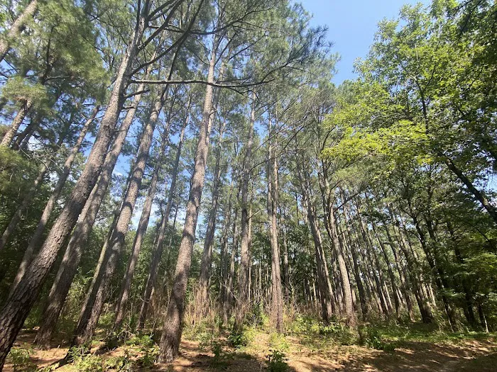 Bois D' Arc Trailhead Campground Picture 9