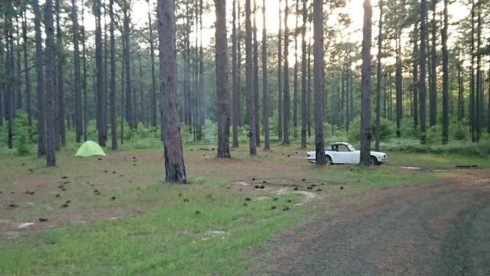 Camping Area Picture 4