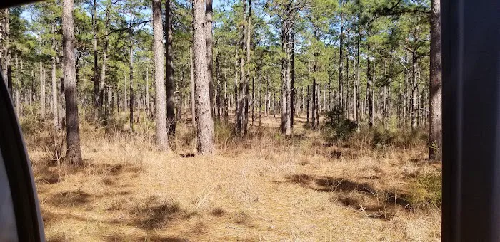 Camping Area Picture 6