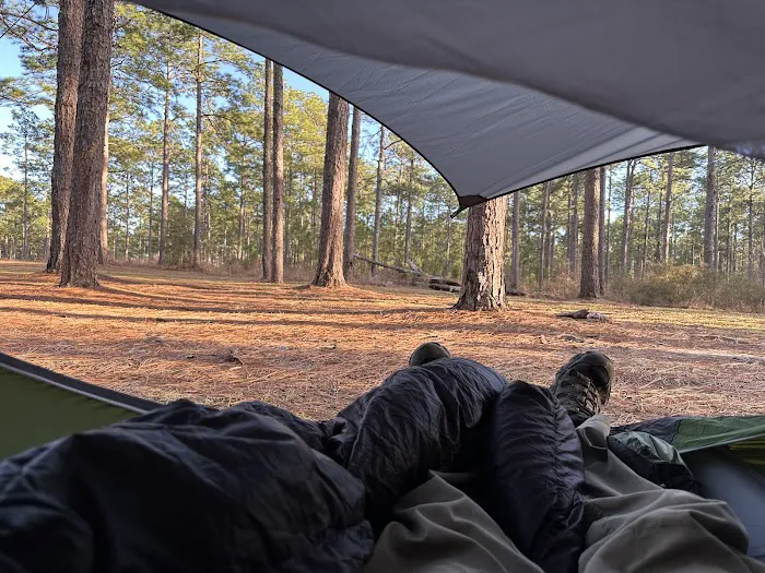 Camping Area Picture 3