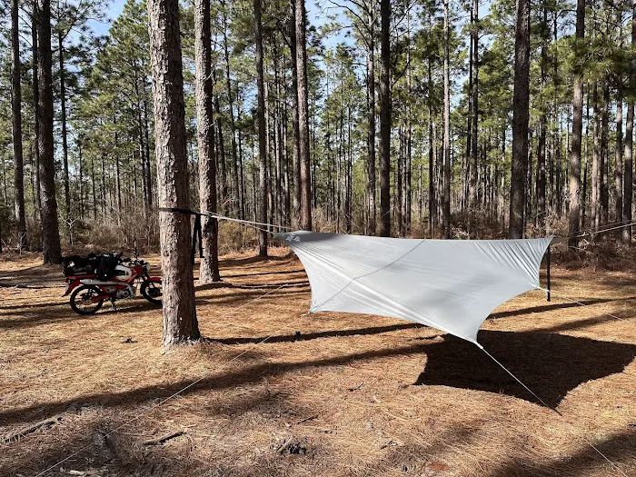 Camping Area Picture 2