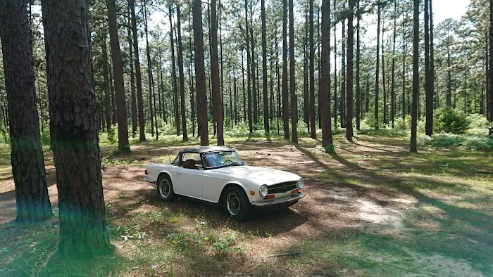 Camping Area Picture 5