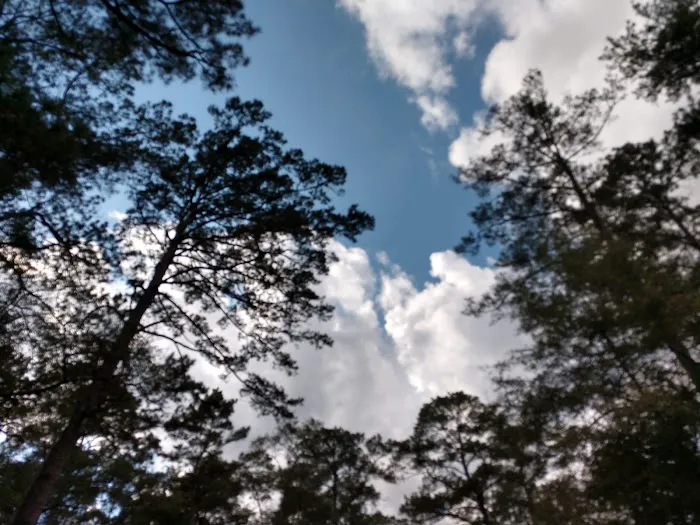 Cloud Crossing Campground Picture 1