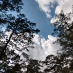 Cloud Crossing Campground