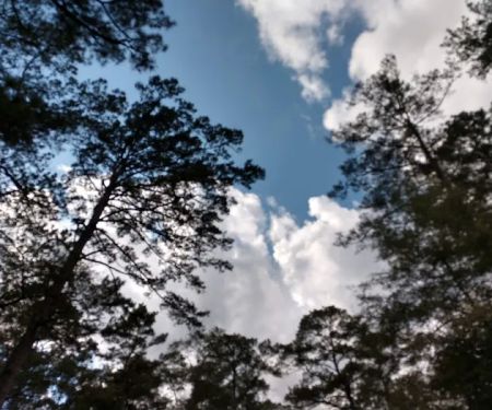 Cloud Crossing Campground