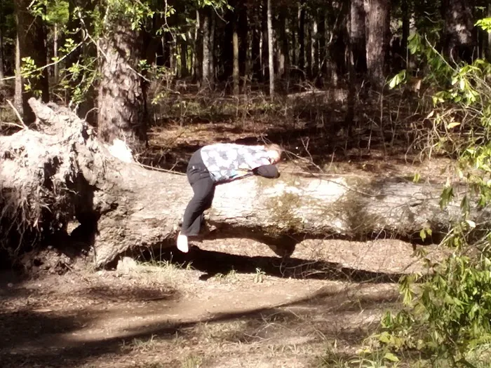 Cloud Crossing Campground Picture 8