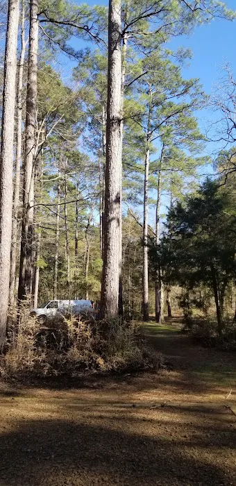 Cloud Crossing Campground Picture 7