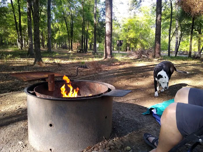 Cloud Crossing Campground Picture 6