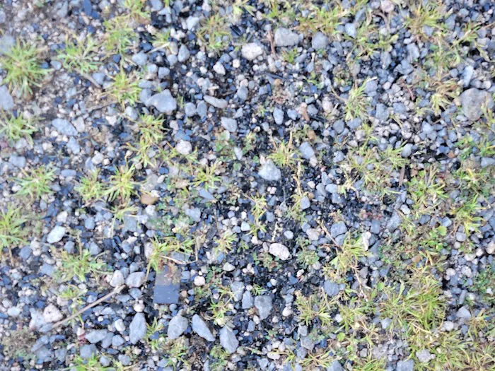 The Fishing Camp & RV Park Picture 1