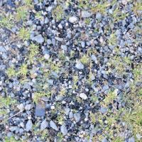 The Fishing Camp & RV Park ico