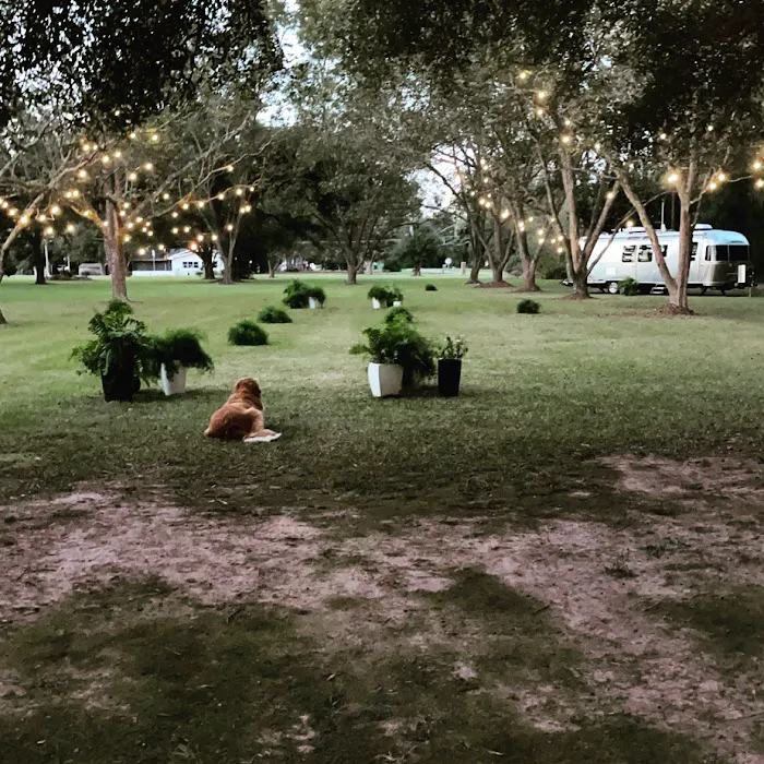 Payne Lane Farms & Campground Picture 7