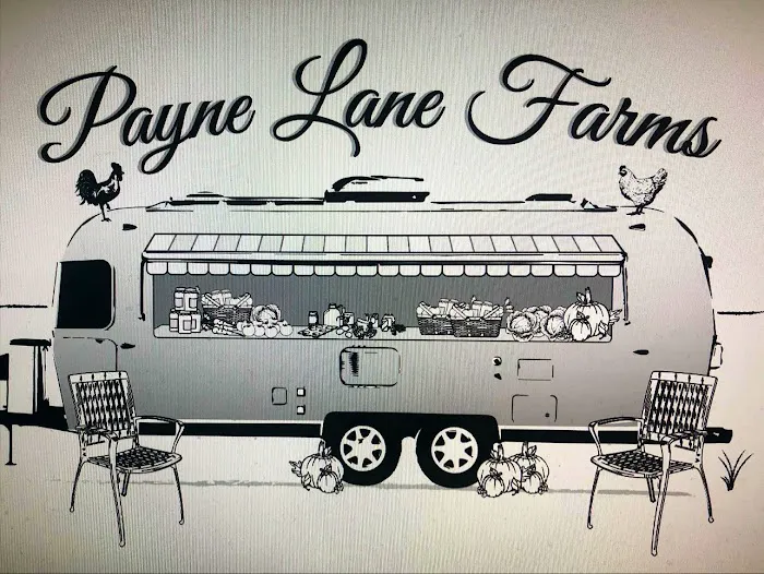 Payne Lane Farms & Campground Picture 5