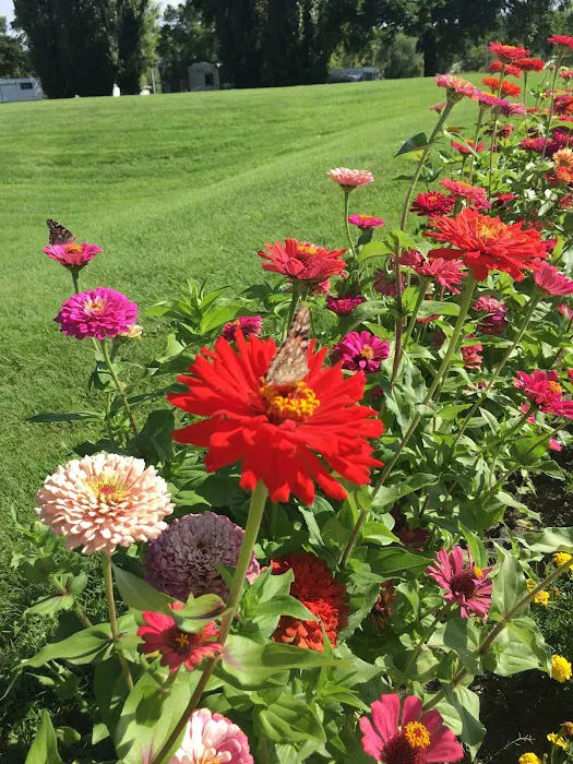 Municipal Tourist Park Picture 2