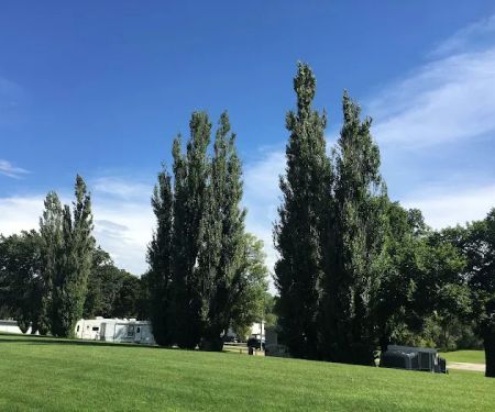 Municipal Tourist Park