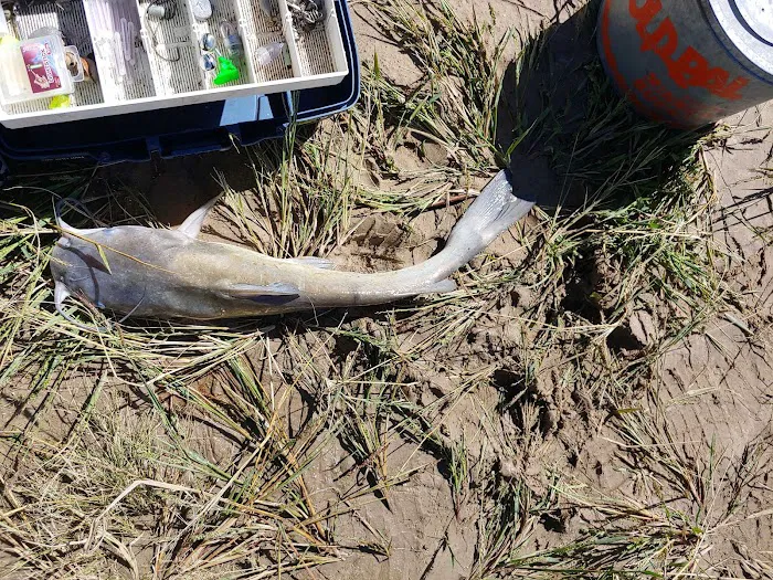 Bruning Dam Recreation Area Picture 9