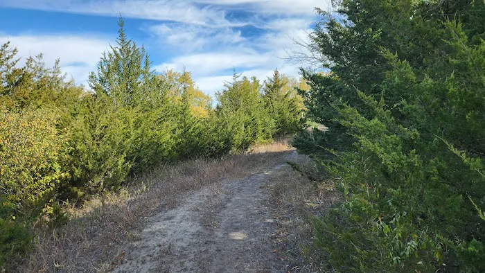 Wagon Train Dam-Site 8 Park Picture 5