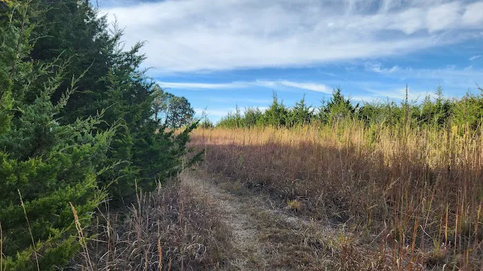 Wagon Train Dam-Site 8 Park Picture 6