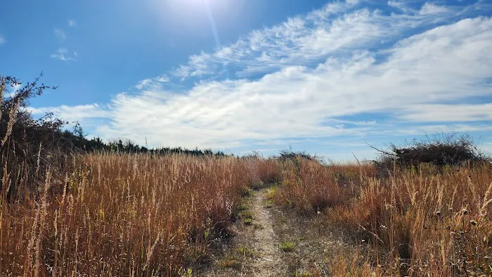 Wagon Train Dam-Site 8 Park Picture 9