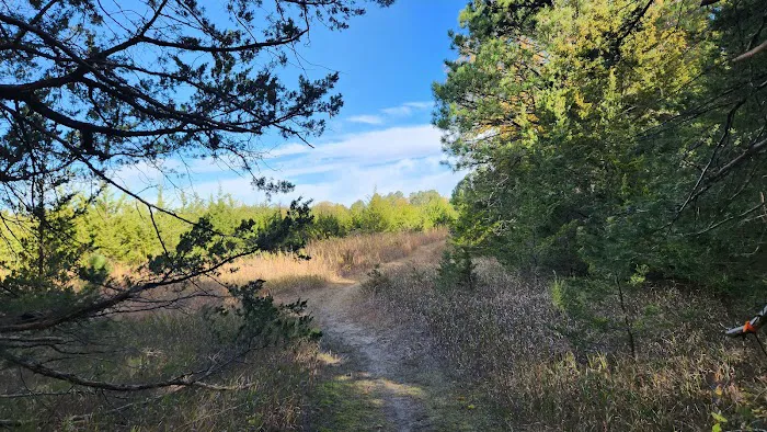 Wagon Train Dam-Site 8 Park Picture 7