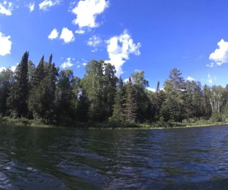 Superior National Forest Campsite #596