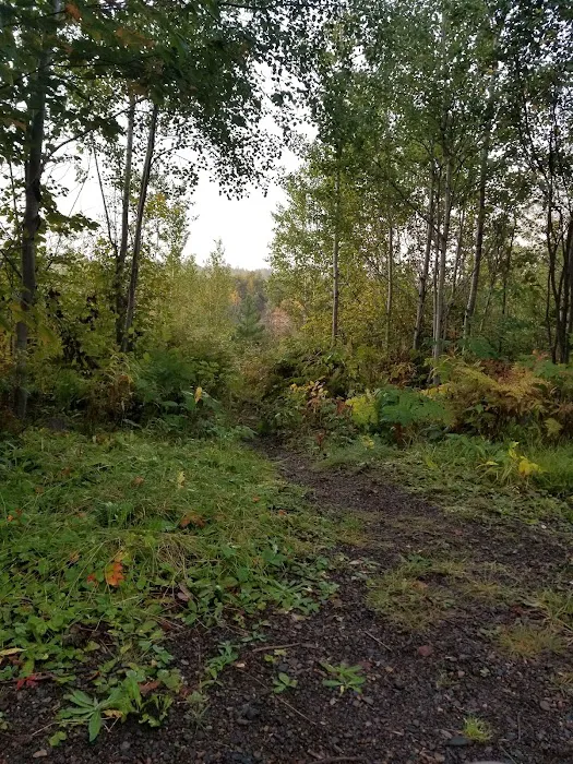 Iron Lake Campground Picture 10