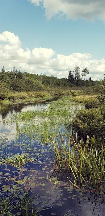 Iron Lake Campground Picture 8