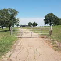 Reds Hilltop Acres ico