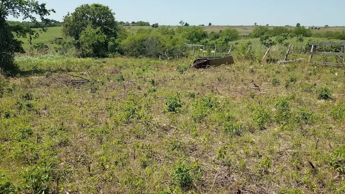 Reds Hilltop Acres Picture 4