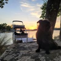 Lighthouse Pointe at Lake Carl Blackwell ico