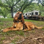 Sunset Bay at Lake Carl Blackwell
