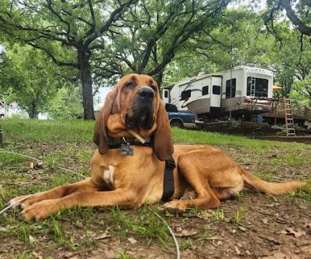 Sunset Bay at Lake Carl Blackwell